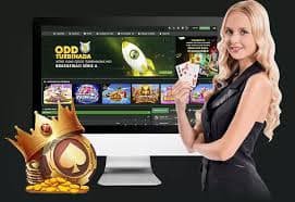 wg bet